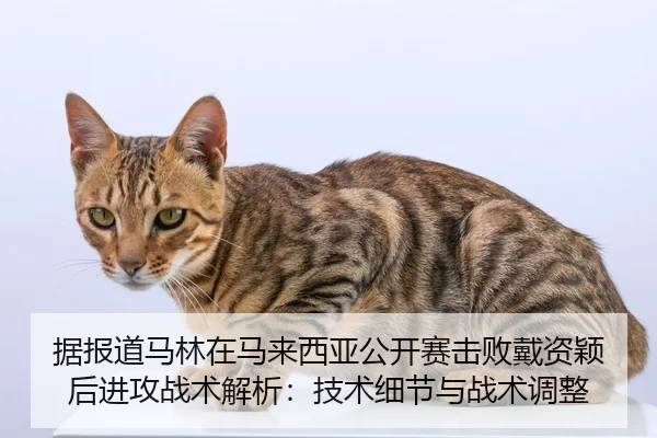 ju-bao-dao-ma-lin-zai-ma-lai-xi-ya-gong-kai-sai-ji-bai-dai-zi-ying-hou-jin-gong-zhan-shu-jie-xi-ji-shu-xi-jie-yu-zhan-2-149.jpg